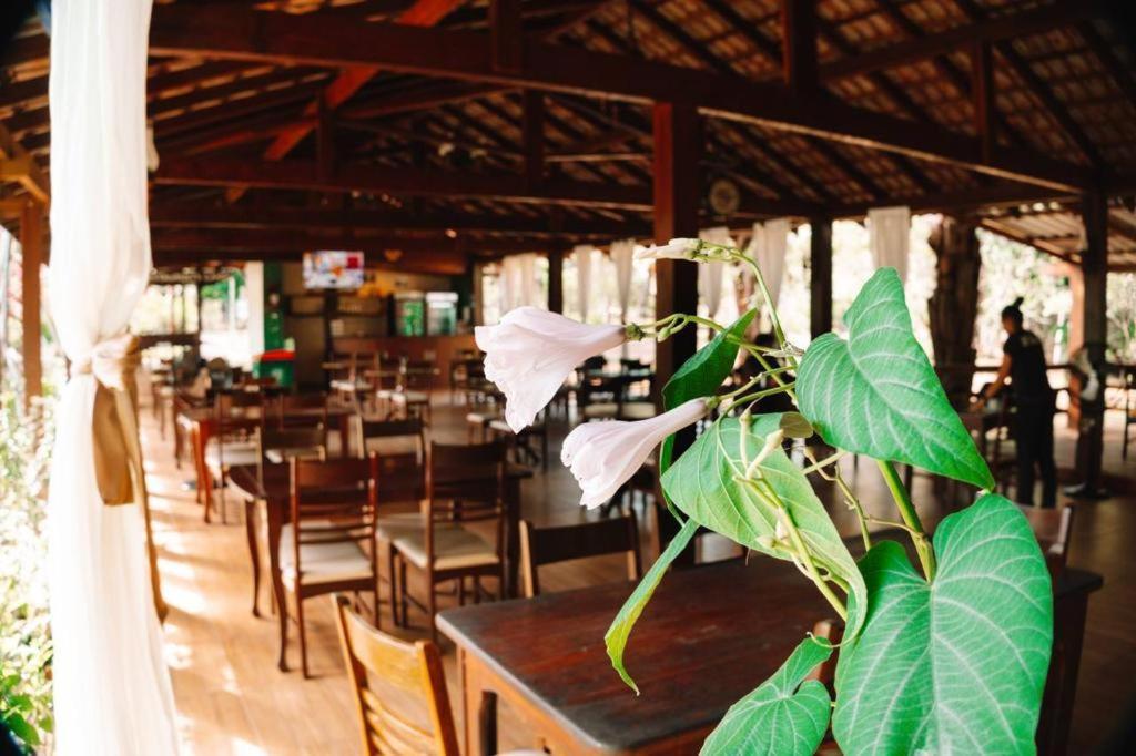 Amazonia Parksuites Novo Airao Luaran gambar