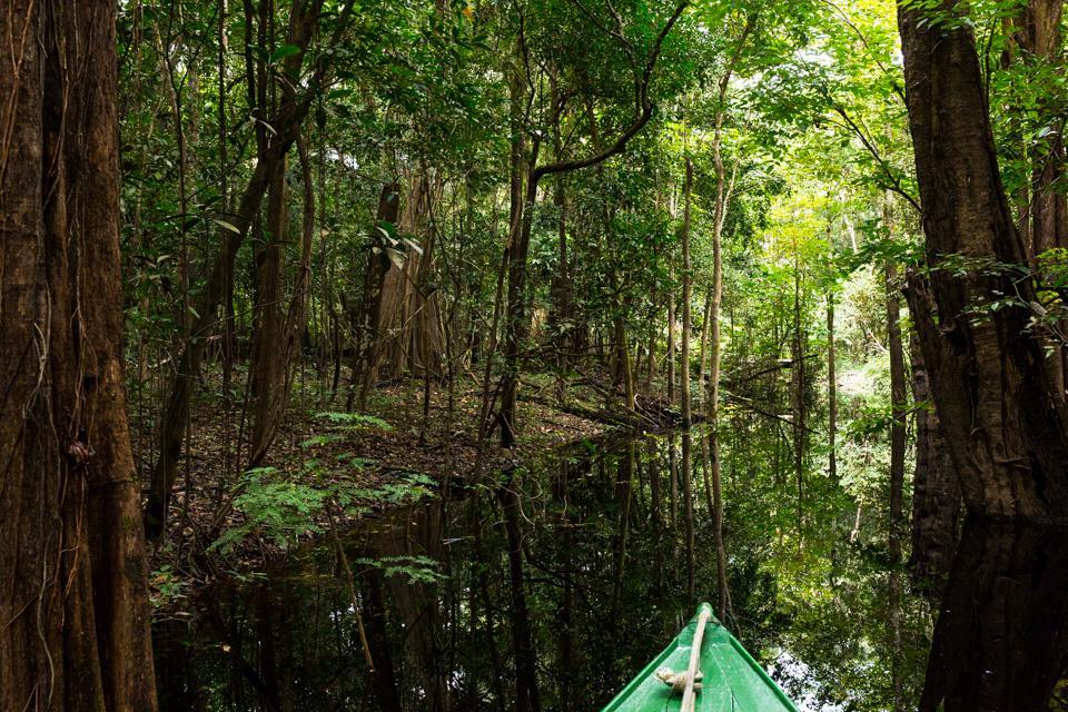 Amazonia Parksuites Novo Airao Luaran gambar
